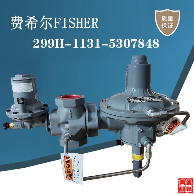 fisher費(fèi)希爾299HV-PHJ/HV5新編碼299H-1131-5307848