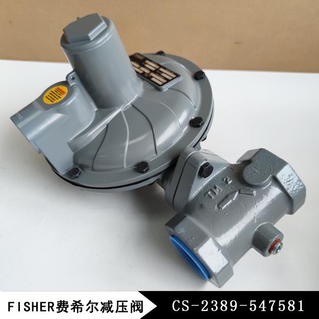 CS-2389-547581費(fèi)希爾CS400IN-7E/C7調(diào)壓閥