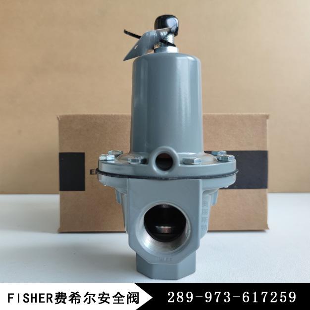 Fisher費希爾289H-42新編碼289-973-617259安全放散閥/安全閥