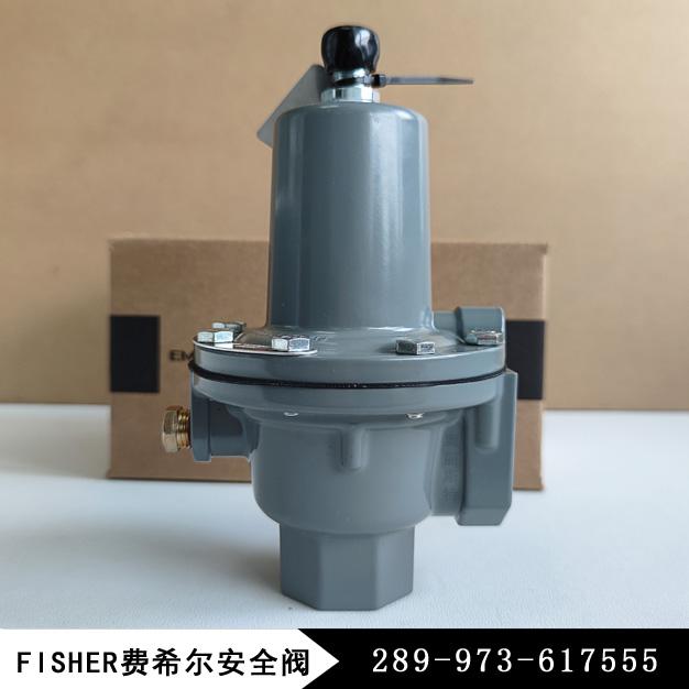 放散閥289H-49新編碼289-973-617555費(fèi)希爾fisher/安全放散閥